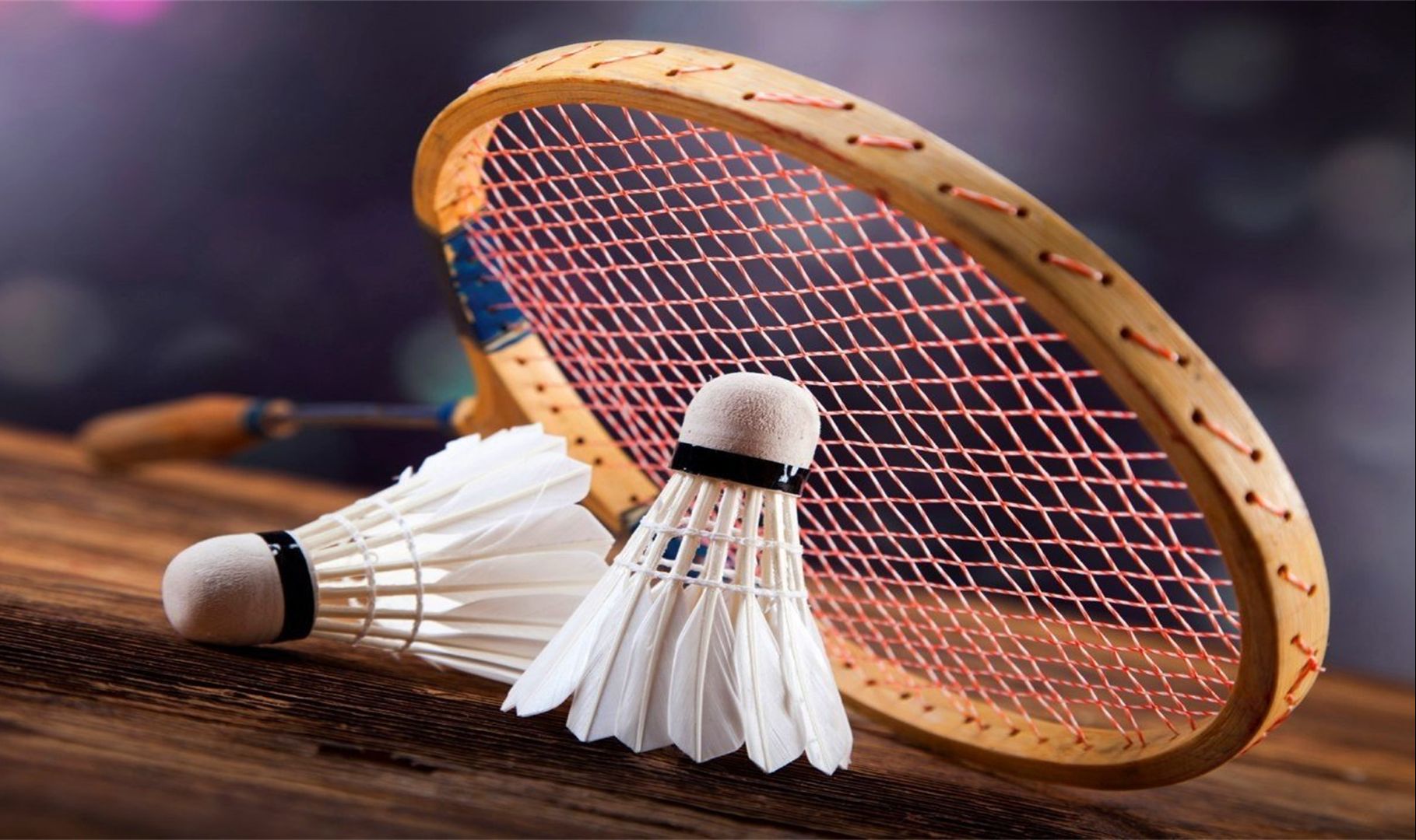 他的迅捷和 他的迅捷和