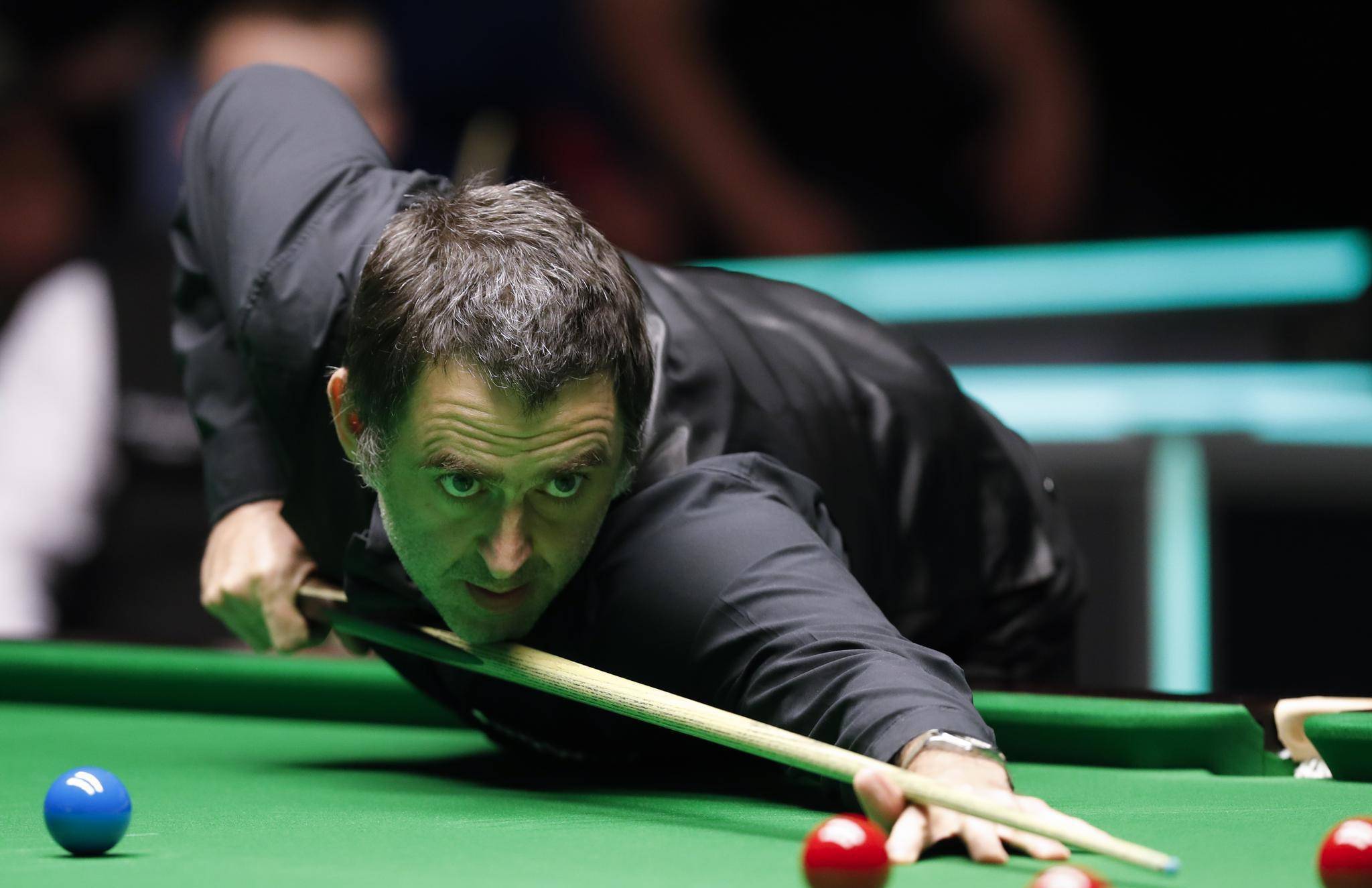 社交媒体上 社交媒体上