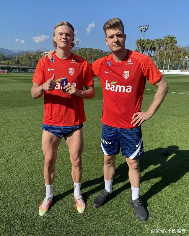 杨奇微博 杨奇微博